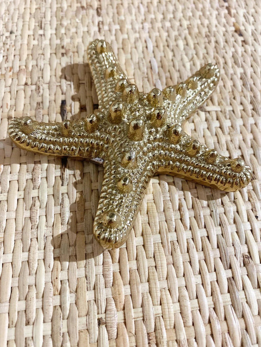 Starfish Bottle Opener - Coastal Country Home Decor